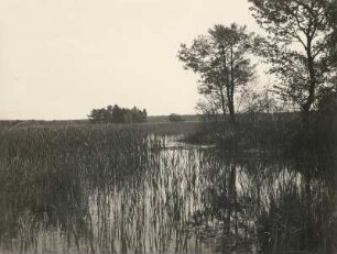 Lohsa-Koblenz, Blick über den Mittelteich