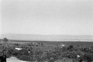 Landschaft : Landschaft und Vegetation. Im Hintergrund eine Gebirgskette.