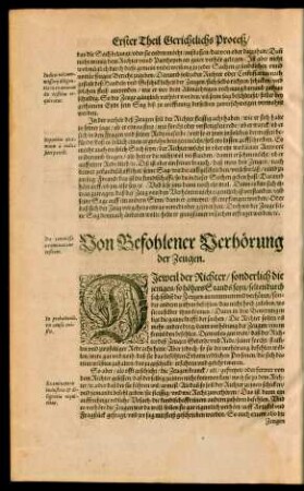 Von Befohlener Verhörung der Zeugen.