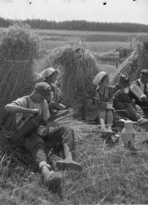 Cotta, Arbeitspause auf einem Feld : Cotta. Getreideernte. Arbeitspause