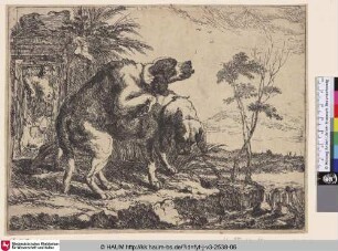 [Zwei spielende Hunde vor einer Statue; Two Playing Dogs in front of a Statue]