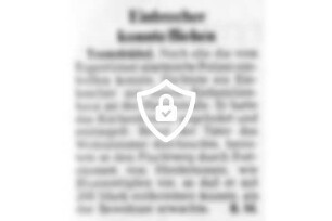 Einbrecher konnte fliehen