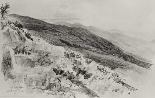 Landschaft