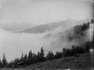 Hang : Steilhang der Schmittenhöhe (1965m)