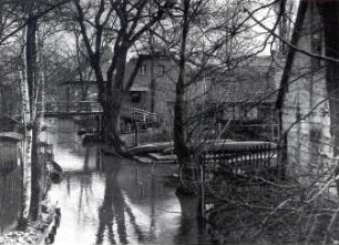 Spreekanal in Lübbenau : Landschaft - Spreewald. Ort: Lubnjow / Lübbenau. Spreekanal.