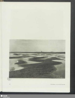 Wattenebene vor der Insel Neuwerk