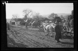 Odobești (=Rumänien): Pferdegespanne mit Planwagen und Heuwagen auf einer unbefestigten Ortsstraße (Rückansicht) ("Straße")
