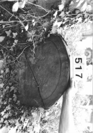 Grabstein 517