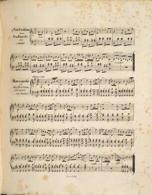 Potpourri über Thema aus verschiedenen Opern : für Zither ; op. 4