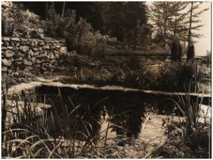 Garten Zierhut Böhmerwald: Wasserbecken