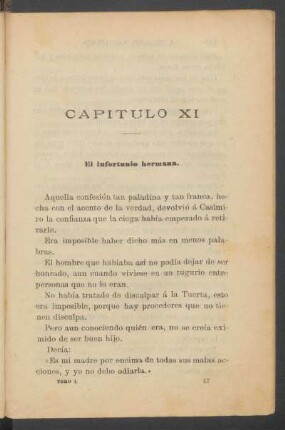 Capítulo XI - El infortunio hermana.