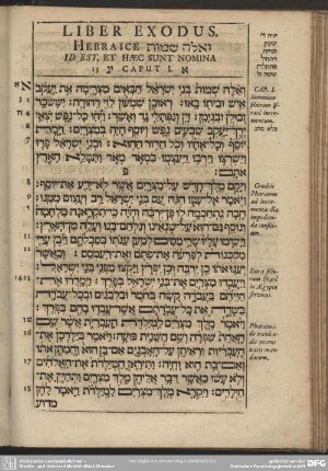 Liber Exodus