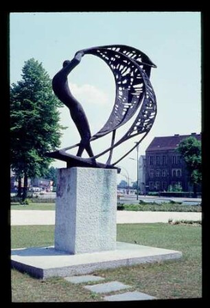 Sp. Falkenseer Pl. 6.6.63.