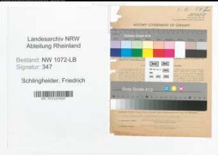 Entnazifizierung Friedrich Schlingheider , geb. 12.08.1902 (Lagerist)