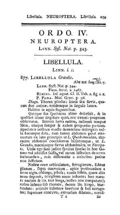 Ordo IV. Neuroptera