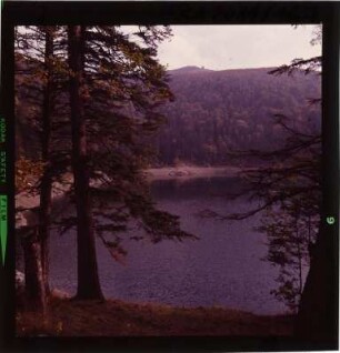 Lac du Ballon im Sonnenschein
