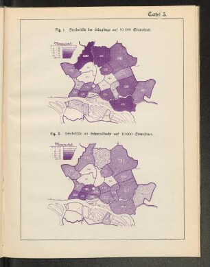 Tafel 3. Fig. 2. Sterbefälle an Schwindsucht auf 10000 Einwohner.