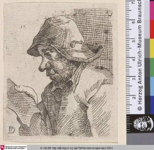 [Ein lesender Bauer; Reading Peasant]