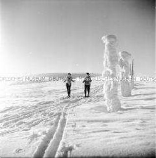 Skiurlauber aus der DDR bei Spindelmühle (Riesengebirge, Tschechoslowakei)