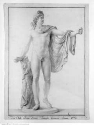 Concorso Accademico 1775, Terza Classe: Die Statue des Apoll von Belvedere, primo premio
