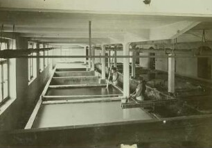 Porzellanmanufaktur Meißen : Porzellanmanufaktur Meißen. Absatzbecken