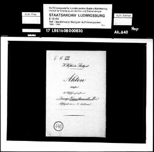 Die junge Frau Arneck. Lustspiel von Hugo Lubliner