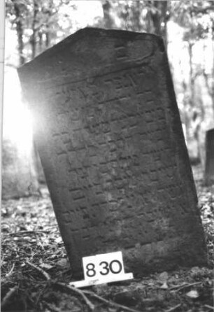 Grabstein 830 (Index: 99899233) Material: Sandstein Zustand: stark verwittert Maße HxBxT: 102x56x7 cm Beschreibung: Stele mit Dreiecksabschluss: Grabstein 830