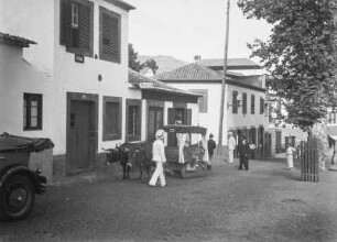 Ochsenschlitten : Ochsenschlitten auf einer Straße in Funchal