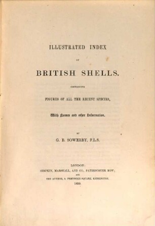 Illustrated Index of British Shells