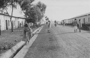 Hauptstraße in Adi Kwala : Blick in die Hauptstraße von Adi Kwala.