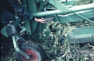 Fotografie: Erntetechnik, Kartoffel, Kartoffelroder, Rodeorgan