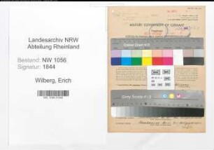 Entnazifizierung Erich Wilberg , geb. 05.01.1909 (Angestellter)
