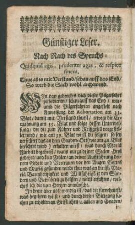 Günstiger Leser