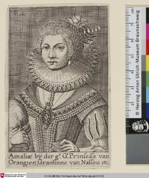 [Amalie van Oranje-Nassau]