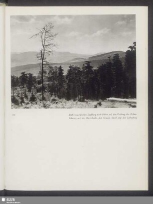 Blick vom Großen Jagdberg nach Süden auf den Osthang der Hohen Scharte, auf die Ebertsheide, den Grauen Stuhl und den Löbesberg
