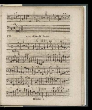 VII. Ach Herr wie sind meiner feinde so (a 2. Altus & Tenor)