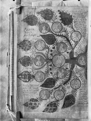 Liber Floridus Lamberti Canonici — Baum der Tugenden und des Guten als Allegorie der Ecclesia, Folio 208verso