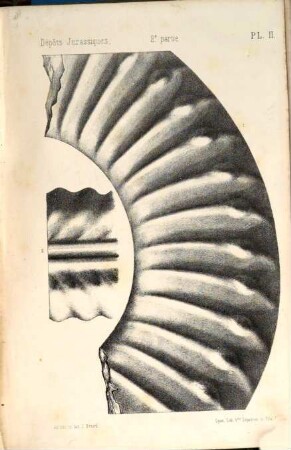 Études paléontologiques sur les dépots jurassiques du bassin du Rhone, 2. Lias inférieur