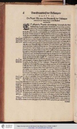 Caput II. Von Grundtrisz der Vestungen, Die Regul wie man die Grundtrisse der Vestungen von einfachen Linien durch Maszstab machen soll