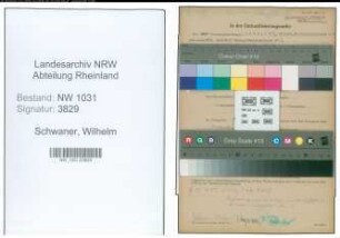 Entnazifizierung Wilhelm Schwaner , geb. 04.06.1879 (Lehrer)