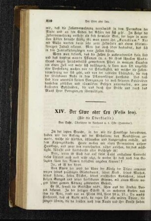 ¬Der¬ Löwe oder Leu (Felis Leo) : (für die Oberklasse)
