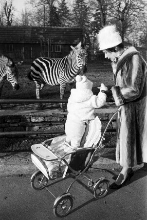 Sonniger Wintertag im Stadtgarten und Zoo.