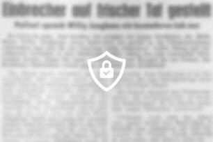 Einbrecher auf frischer Tat gestellt