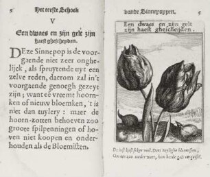 Doppelseite 5 (mit Tulipa-Darstellung)