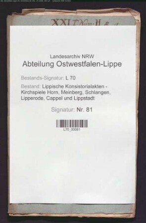 Gehalt und Einkünfte des Rektors (auch: Weiderechte)