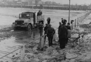 Hochwasser 1955 am Rhein bei Gernsheim