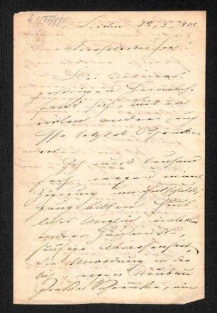 Handschriftlicher Brief von Schlegel an Heuglin