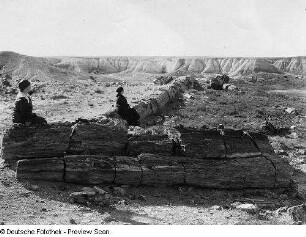 Arizona, Nationalpark Petrified Forest, Geologie, Fossile Pflanzen, Petrified Forest National Monument Arizona, Aufnahme, The Atchison, Topeka and Santa e Railway Co.