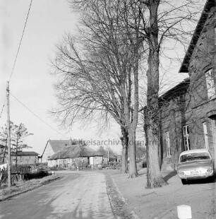 Dorfstraße: rechts Bauernhaus: davor Baumreihe und parkender Pkw: hinten Mitte Reetdachhaus und weitere Häuser