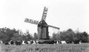 Huy-Dingelstedt am Huy. Bockmühle, um 1897 erbaut